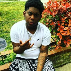 Meet your Posher, Marlin